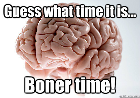 Guess what time it is... Boner time!   Scumbag Brain