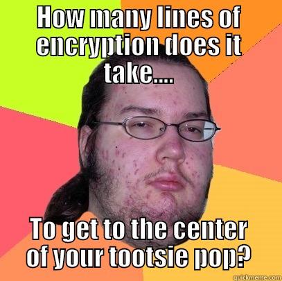 HOW MANY LINES OF ENCRYPTION DOES IT TAKE.... TO GET TO THE CENTER OF YOUR TOOTSIE POP? Butthurt Dweller