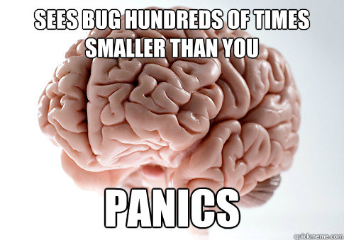 Sees bug hundreds of times smaller than you panics  Scumbag Brain