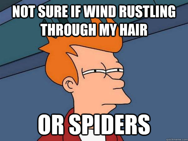 Not sure if wind rustling through my hair or spiders  Futurama Fry