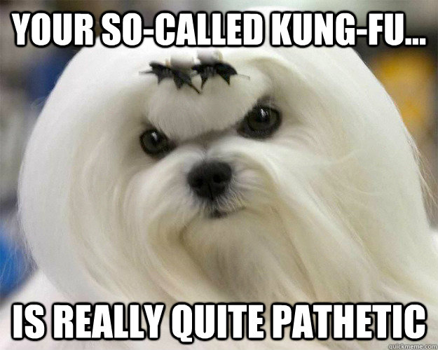 Your so-called kung-fu... is really quite pathetic  - Your so-called kung-fu... is really quite pathetic   Pai Mei Dog