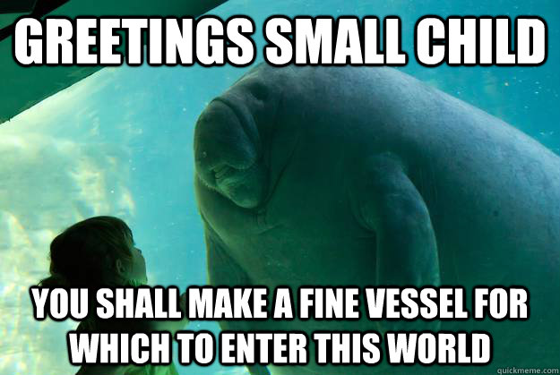 Greetings small child You shall make a fine vessel for which to enter this world  Overlord Manatee