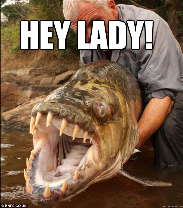  hey Lady! -  hey Lady!  Comedy Fish