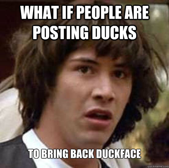 What if people are posting ducks To bring back duckface - What if people are posting ducks To bring back duckface  Conspiracy Keanu Snow