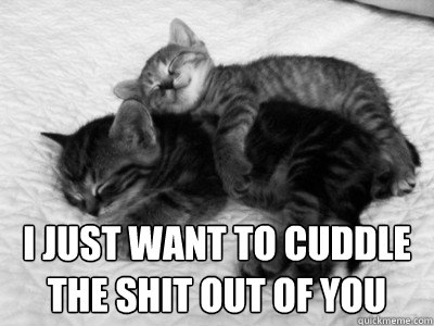  I JUST WANT TO CUDDLE 
THE SHIT OUT OF YOU -  I JUST WANT TO CUDDLE 
THE SHIT OUT OF YOU  Cuddles