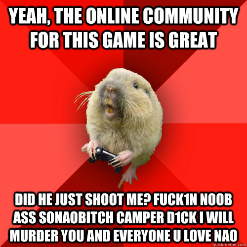 yeah, the online community for this game is great did he just shoot me? FucK1N NOOB ASS SONAOBITCH CAMPER D1CK I WILL MURDER YOU AND EVERYONE U LOVE nAO  Gaming Gopher