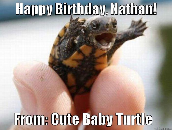       HAPPY BIRTHDAY, NATHAN!             FROM: CUTE BABY TURTLE       Misc