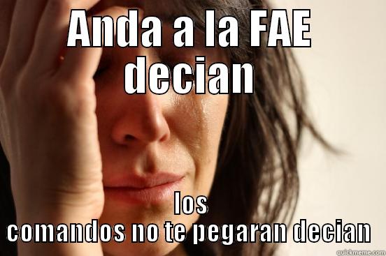 comandos XD - ANDA A LA FAE DECIAN LOS COMANDOS NO TE PEGARAN DECIAN  First World Problems