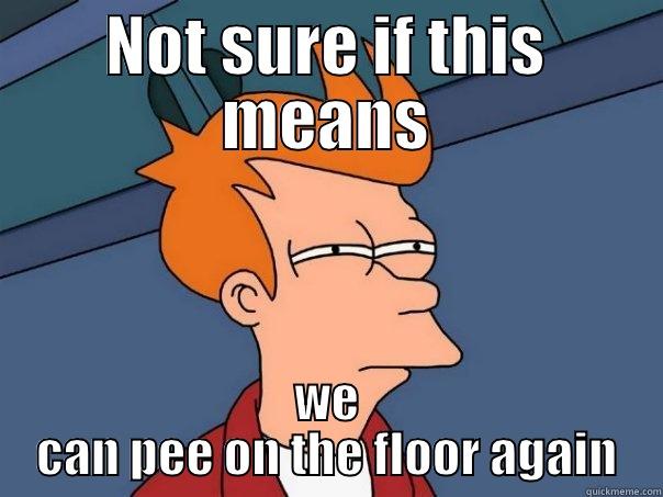 NOT SURE IF THIS MEANS WE CAN PEE ON THE FLOOR AGAIN Futurama Fry