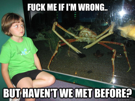 Fuck me if i'm wrong.. but haven't we met before?  wildly inappropriate crab