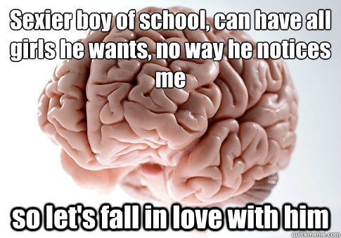 Sexier boy of school, can have all girls he wants, no way he notices me so let's fall in love with him  Scumbag Brain