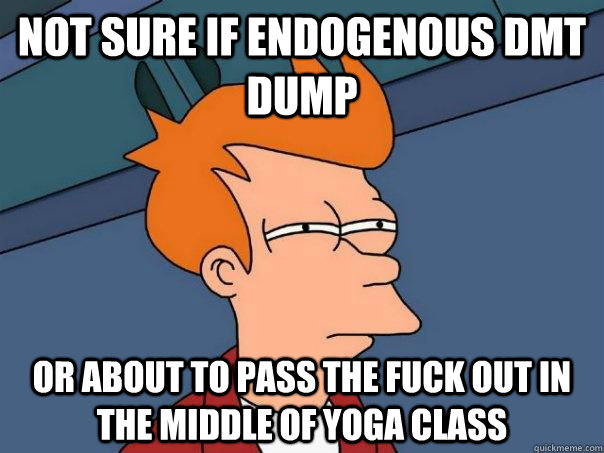 Not sure if endogenous DMT dump or about to pass the fuck out in the middle of yoga class  Futurama Fry