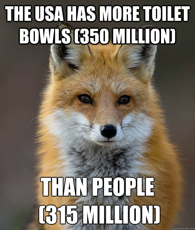 The USA has more toilet bowls (350 million) than people
 (315 million)  Fun Fact Fox