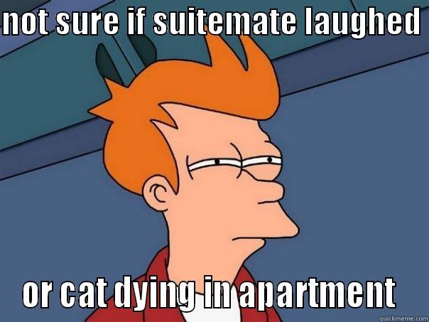 flatmate probs  - NOT SURE IF SUITEMATE LAUGHED  OR CAT DYING IN APARTMENT  Futurama Fry