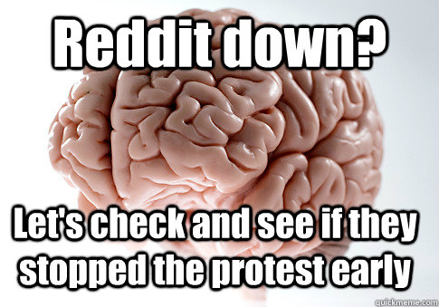 Reddit down? Let's check and see if they stopped the protest early   Scumbag Brain