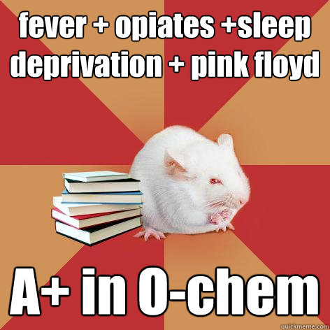 fever + opiates +sleep deprivation + pink floyd A+ in O-chem  Science Major Mouse