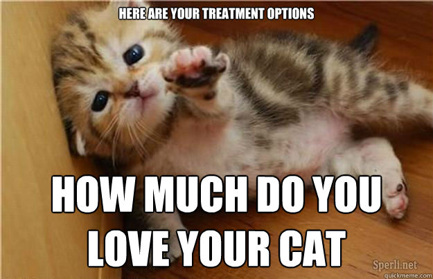 here are your treatment options how much do you love your cat  Halp me kitten