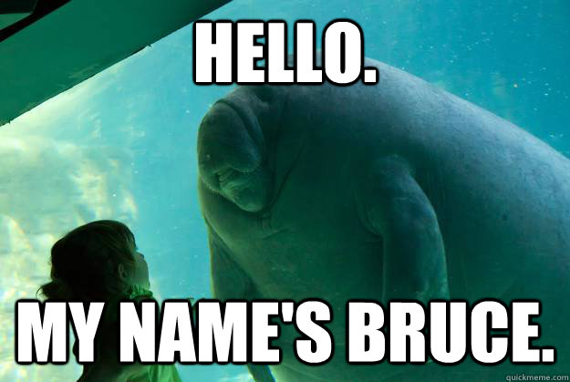 Hello. My name's Bruce.  Overlord Manatee