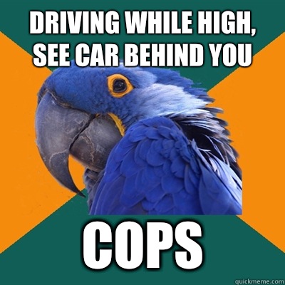 Driving while high, see car behind you Cops  Paranoid Parrot