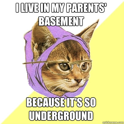 I live in my parents' basement because it's so underground - I live in my parents' basement because it's so underground  Hipster Kitty