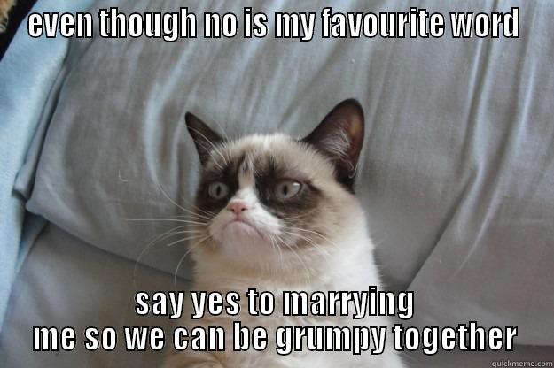 EVEN THOUGH NO IS MY FAVOURITE WORD SAY YES TO MARRYING ME SO WE CAN BE GRUMPY TOGETHER Grumpy Cat