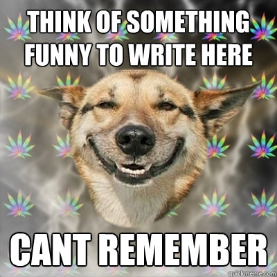 think of something funny to write here cant remember  Stoner Dog