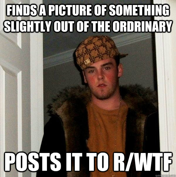 Finds a picture of something slightly out of the ordrinary Posts it to r/wtf - Finds a picture of something slightly out of the ordrinary Posts it to r/wtf  Scumbag Steve