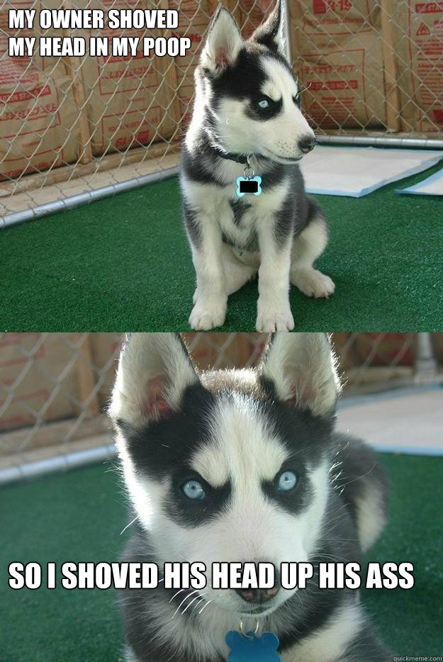 My owner shoved 
my head in my poop so i shoved his head up his ass   Insanity puppy