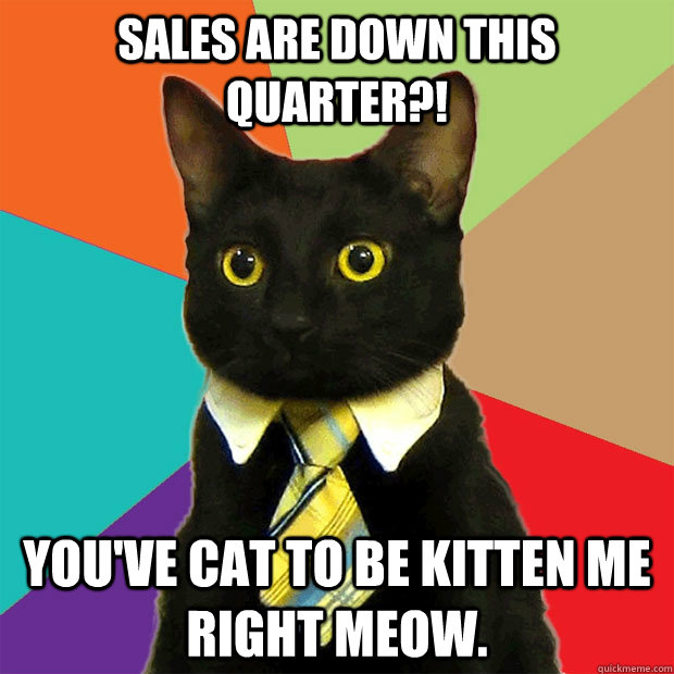 Sales are down this quarter?! You've cat to be kitten me right meow.  Business Cat