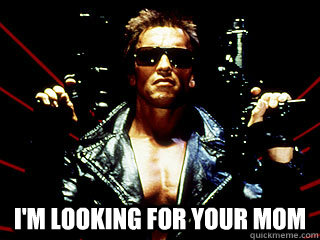  i'm looking for your mom  terminator meme