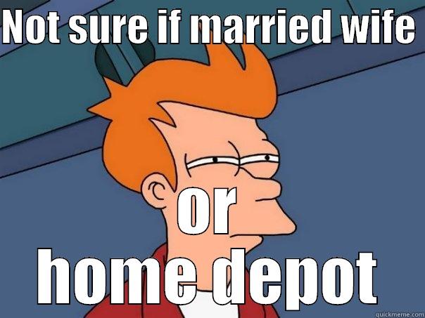 Homedepot marriage - NOT SURE IF MARRIED WIFE  OR HOME DEPOT Futurama Fry