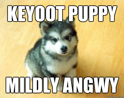 keyoot puppy mildly angwy  Baby Courage Wolf