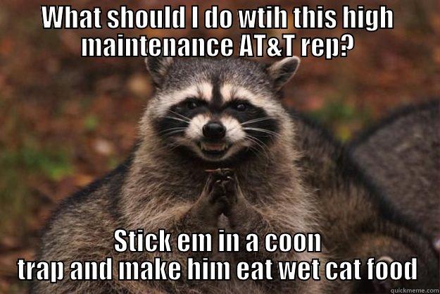 WHAT SHOULD I DO WTIH THIS HIGH MAINTENANCE AT&T REP? STICK EM IN A COON TRAP AND MAKE HIM EAT WET CAT FOOD Evil Plotting Raccoon