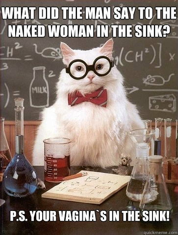 What did the man say to the naked woman in the sink? P.S. YOUR VAGINA`S IN THE SINK!  Chemistry Cat