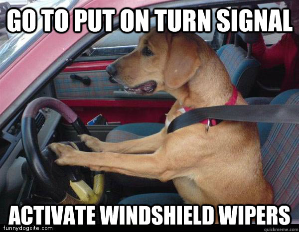 go to put on turn signal activate windshield wipers  