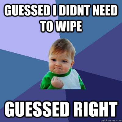 guessed i didnt need to wipe guessed right - guessed i didnt need to wipe guessed right  Success Kid