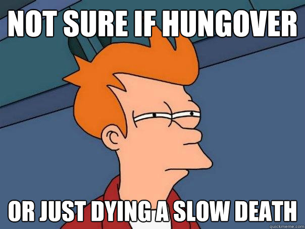 not sure if hungover Or just dying a slow death  Futurama Fry