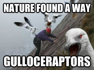 Nature found a way Gulloceraptors  