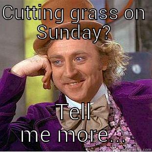 CUTTING GRASS ON SUNDAY? TELL ME MORE... Condescending Wonka