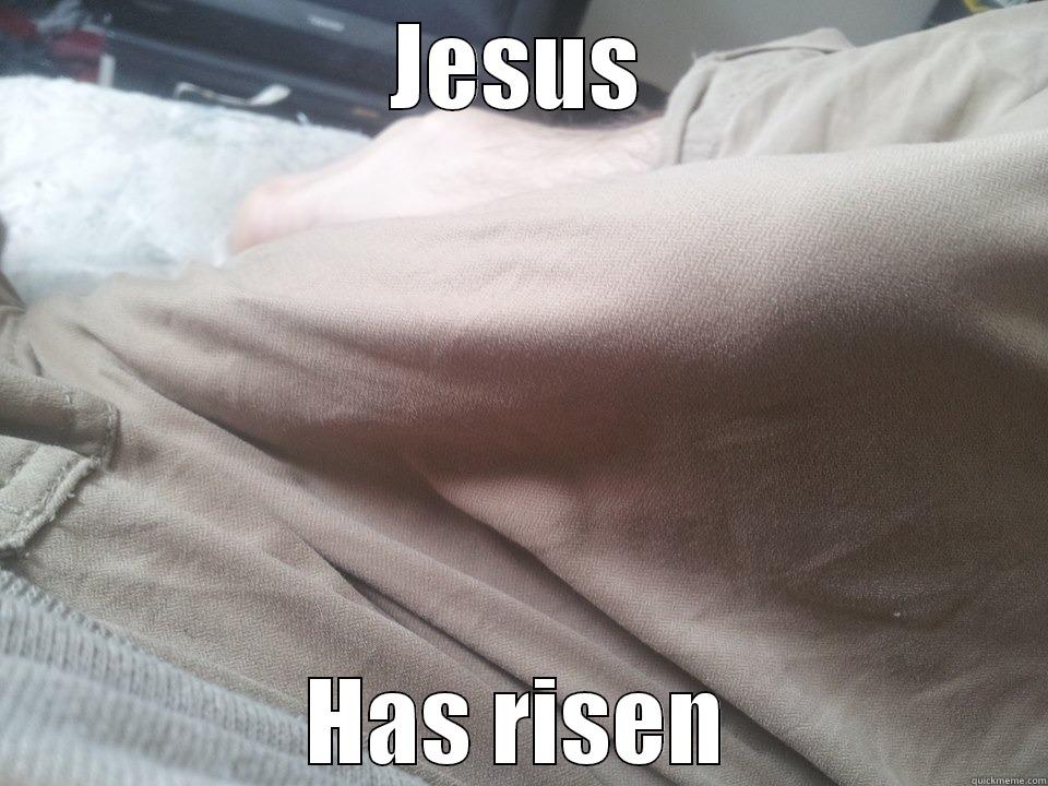 Jesus has risen - JESUS HAS RISEN Misc