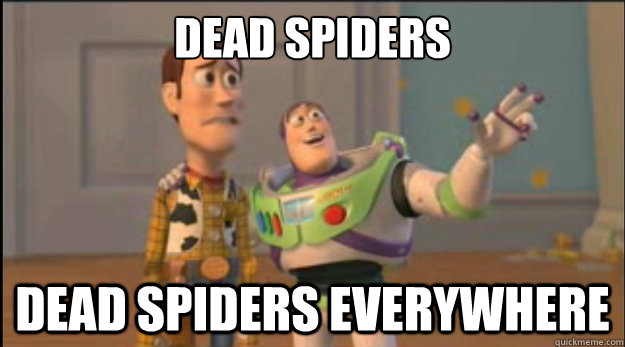 Dead Spiders Dead Spiders Everywhere - Dead Spiders Dead Spiders Everywhere  Misc