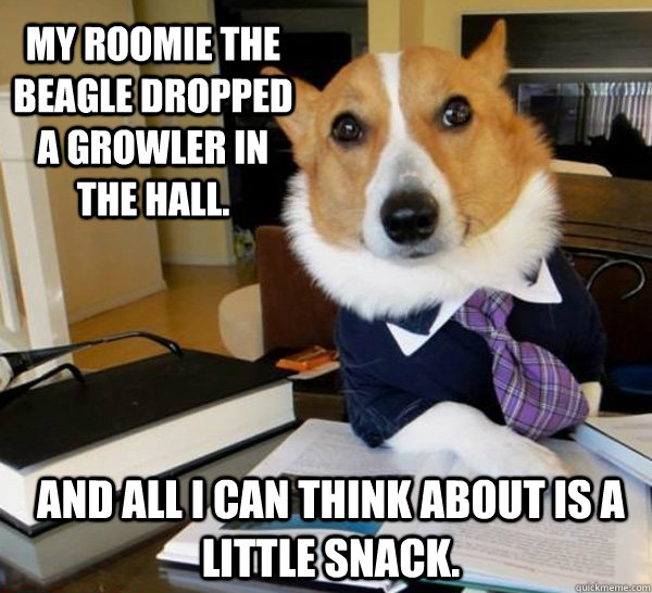 My roomie the Beagle dropped a growler in the hall. and all i can think about is a little snack.  Lawyer Dog