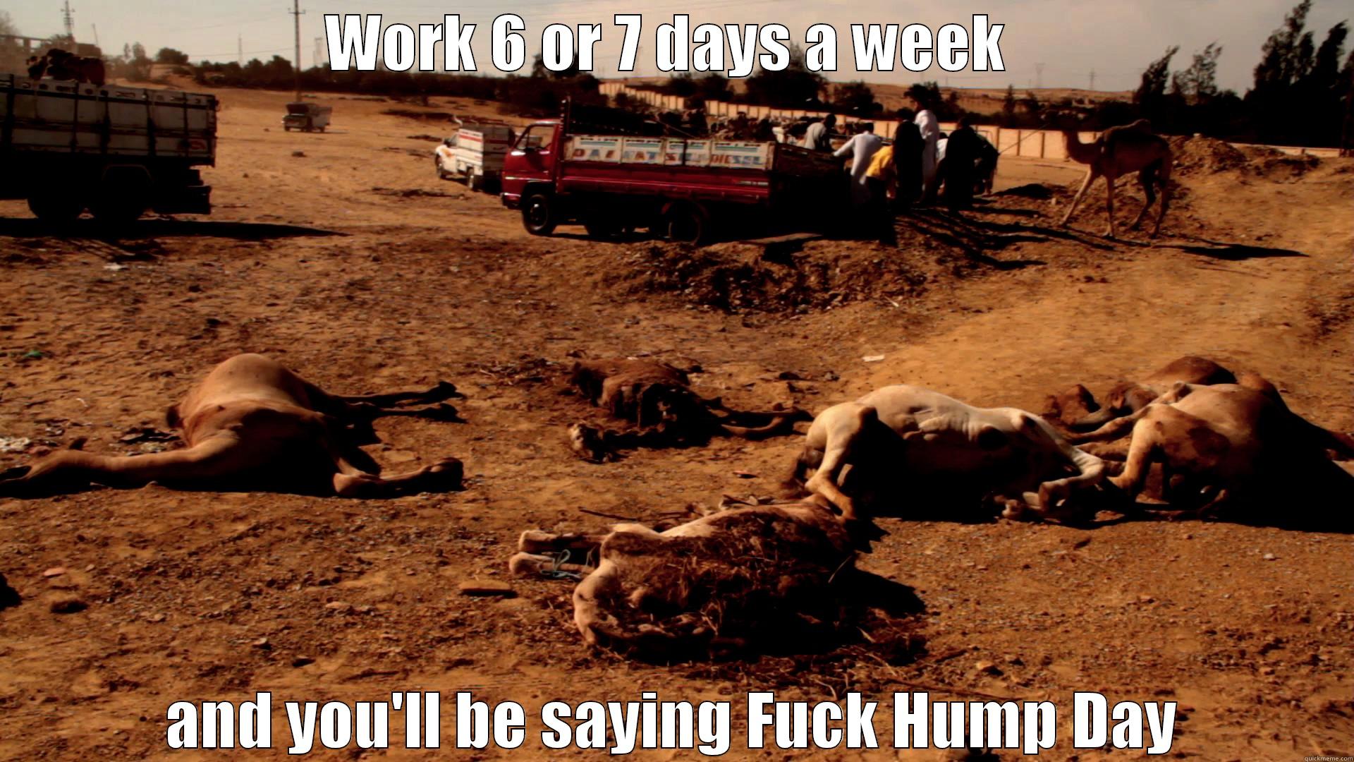 WORK 6 OR 7 DAYS A WEEK  AND YOU'LL BE SAYING FUCK HUMP DAY Misc