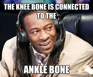 the knee bone is connected to the ankle bone  