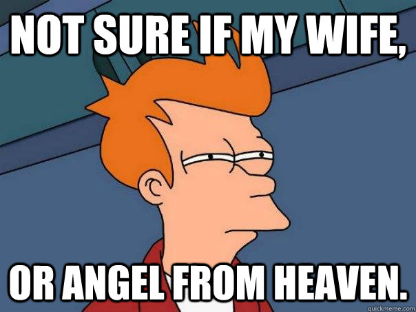 Not sure if my wife, Or angel from heaven. - Not sure if my wife, Or angel from heaven.  Futurama Fry