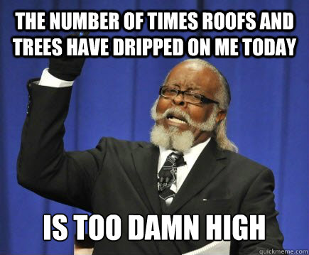 The number of times roofs and trees have dripped on me today is too damn high  Too Damn High