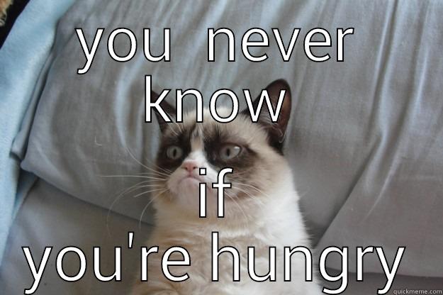 YOU  NEVER KNOW IF YOU'RE HUNGRY Grumpy Cat