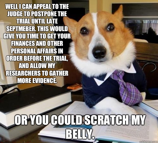 Well I can appeal to the judge to postpone the trial until late Septmeber. This would give you time to get your finances and other personal affairs in order before the trial, and allow my researchers to gather more evidence. Or you could scratch my belly.  Lawyer Dog