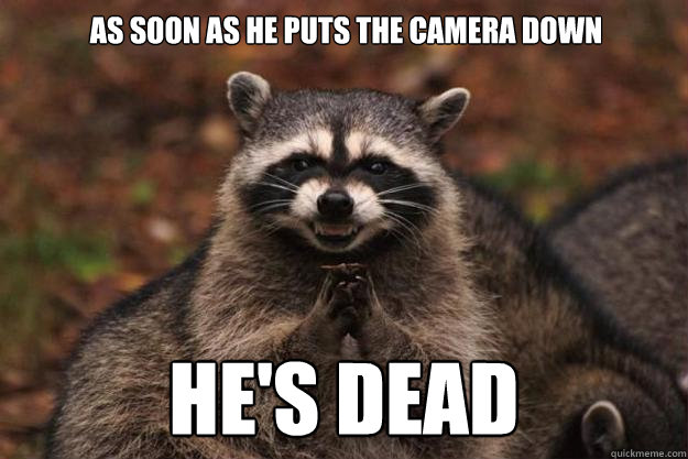 As soon as he puts the camera down He's Dead  Evil Plotting Raccoon