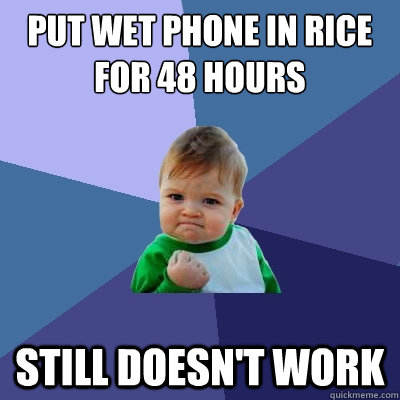 Put wet phone in rice for 48 hours still doesn't work  Success Kid